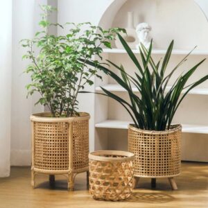 Hand Made Cane Planters